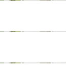 5 EM 1 CORTADOR de Legumes Multifuncional -  (Cores Sortidas