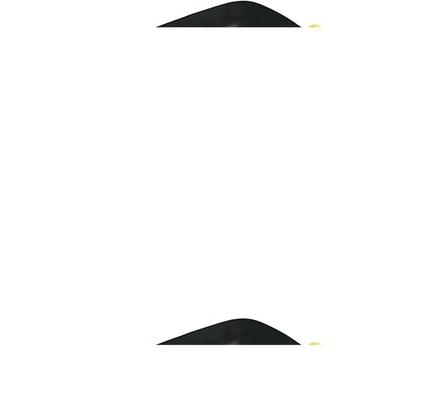 Conjunto de Caneta Colorida Ponta Dupla 80Pçs com Estojo (Versão Pretas ou Brancas)