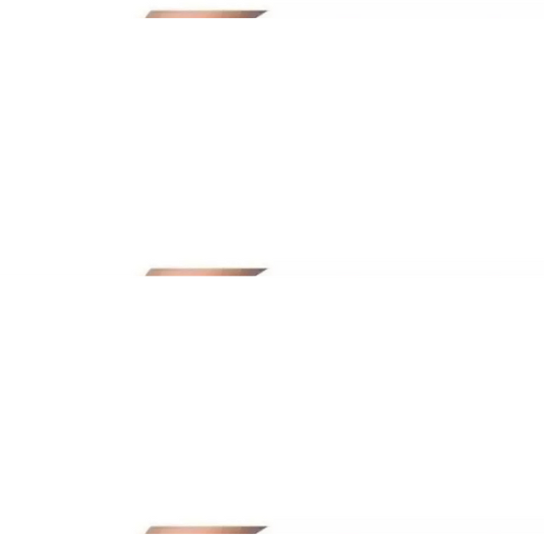 5 EM 1 CORTADOR de Legumes Multifuncional -  (Cores Sortidas