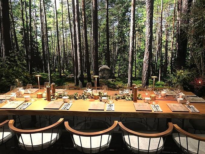 Lâmpada de mesa LED Carpetino