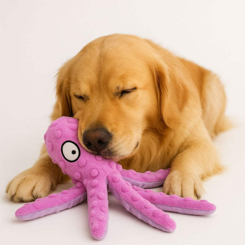 Brinquedo de Pelucia Polvo para Pet