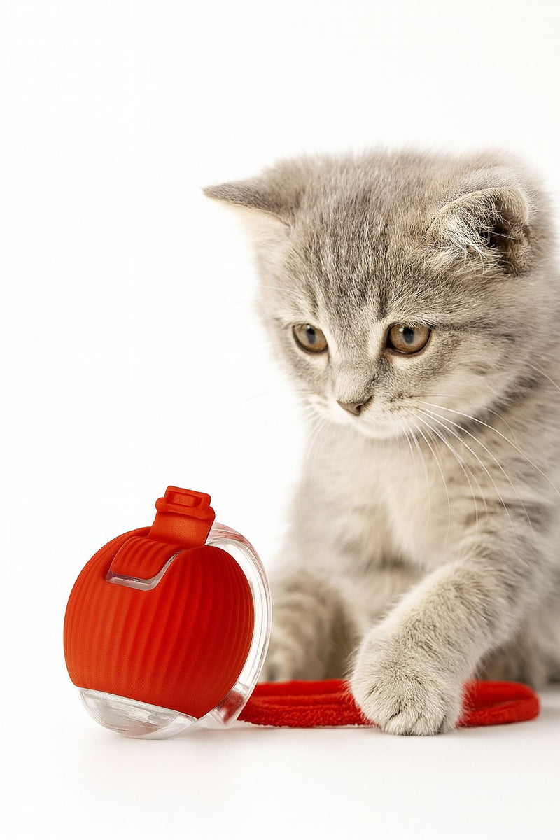 Bolinha Eletrônica Inteligente para Gatos e Cachorros