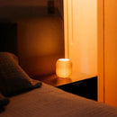 Luminária de Mesa Brine Carpetino